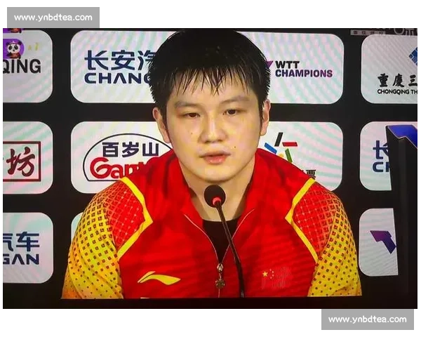 莎头组合领跑冠军榜！21 冠创纪录，樊振东稳居男单前三