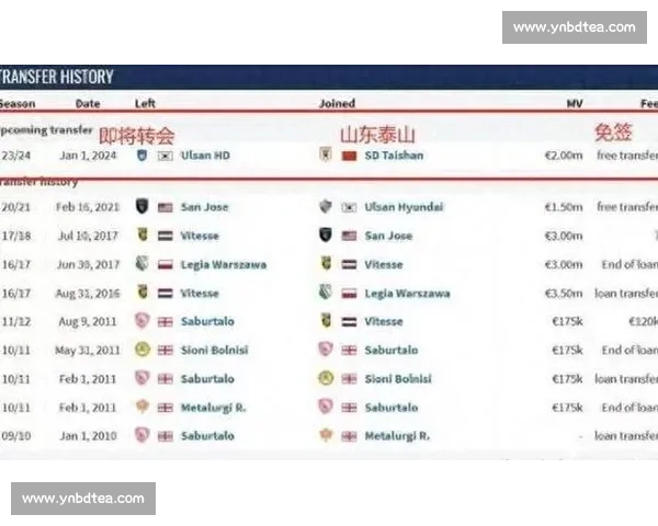 泰山三叉戟悬念：卡扎伊什维利的留队密码与争冠账本