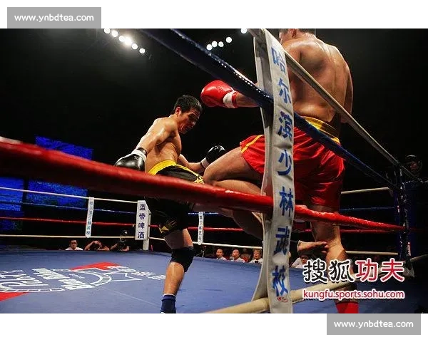 黄磊vs许家恒同台对比谁更强实力口碑与影响力全面解析深度评述